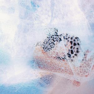 91丨推特丨白浆㊙️
